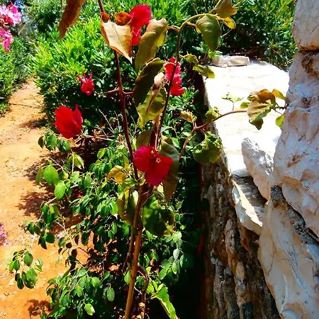 شقة Volta Stonehouse *