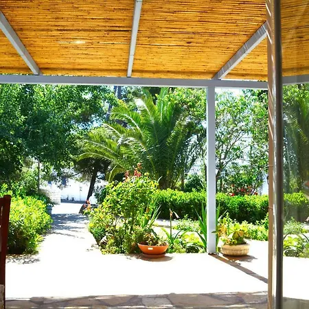 Volta Stonehouse * Fratsia