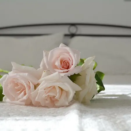 Volta Stonehouse Appartamento *